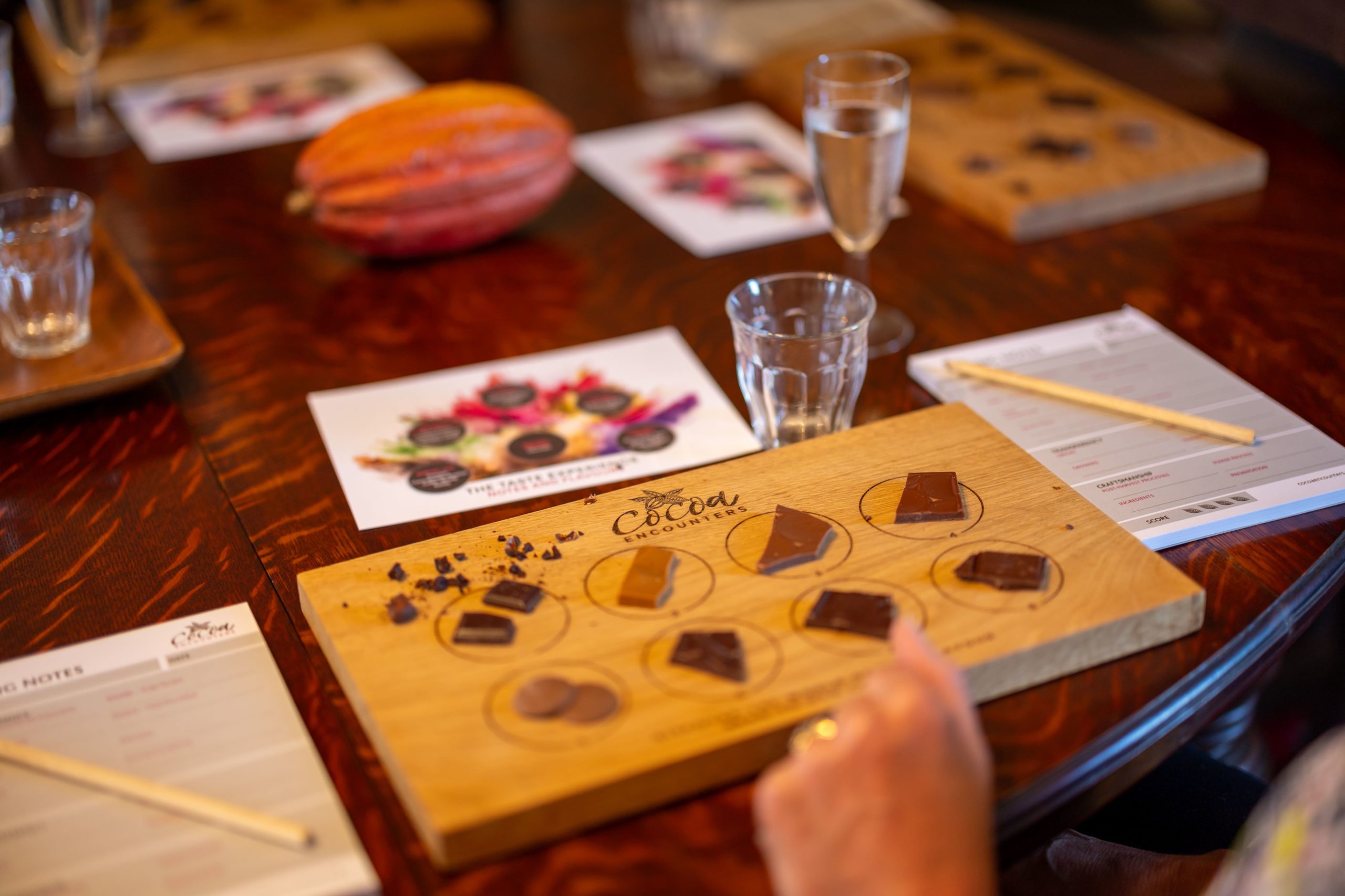 cocoa encounters tasting board with samples of chocolate