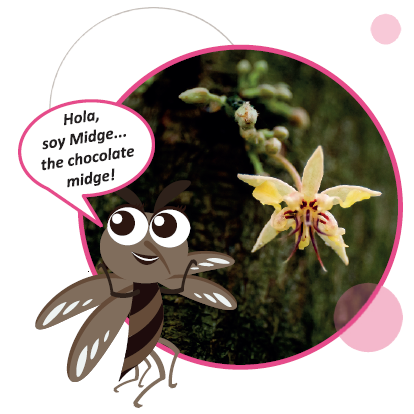 An image of a cartoon mosquito with text which reads